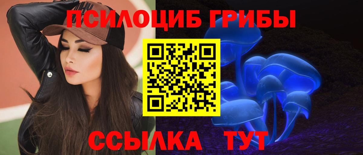 Галлюциногенные грибы Magic Shrooms Балтийск