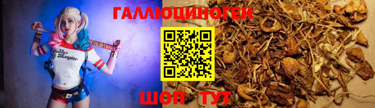 Балтийск  Галлюциногенные грибы ЛСД  Вход с VPN 